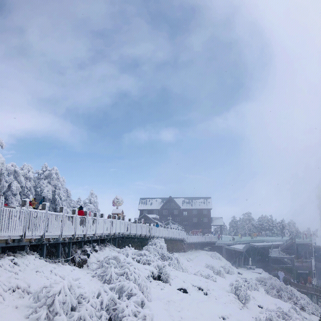 2月17日看到做旅游的朋友发了238西岭雪山一日游,包含门票(两段索道)