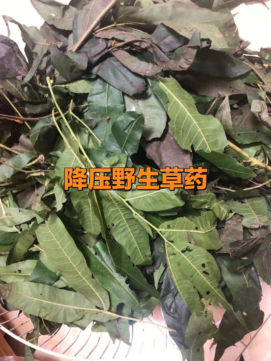 药材黄风图片图片