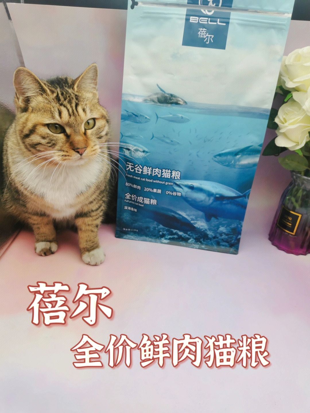 墙裂73推荐蓓尔无谷鲜肉猫粮