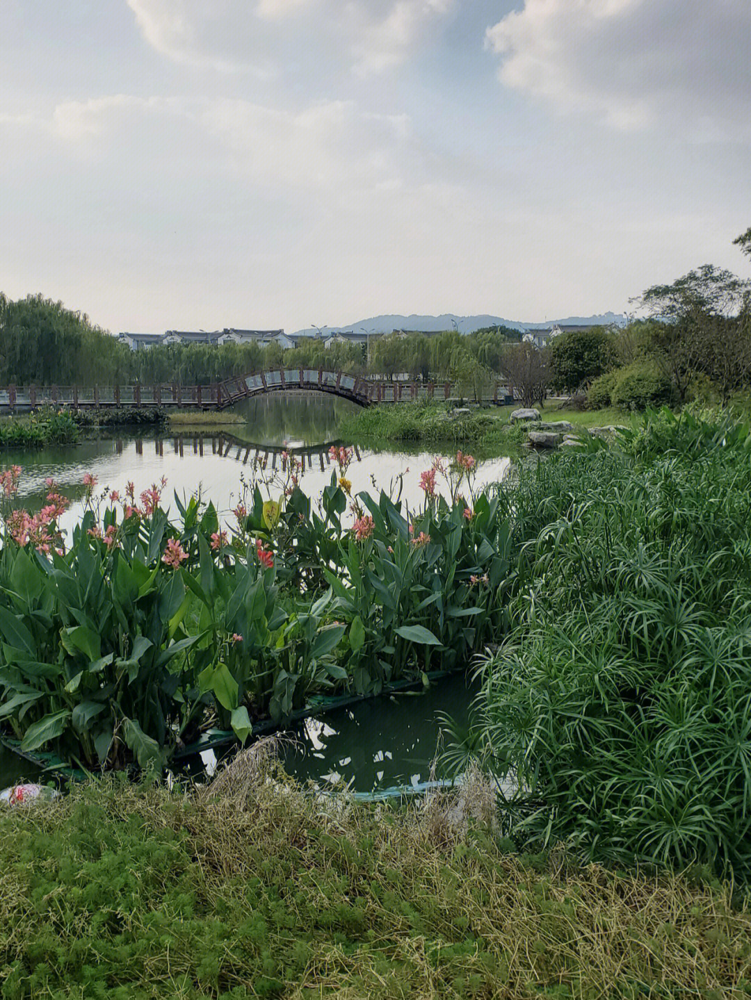 越来溪公园图片