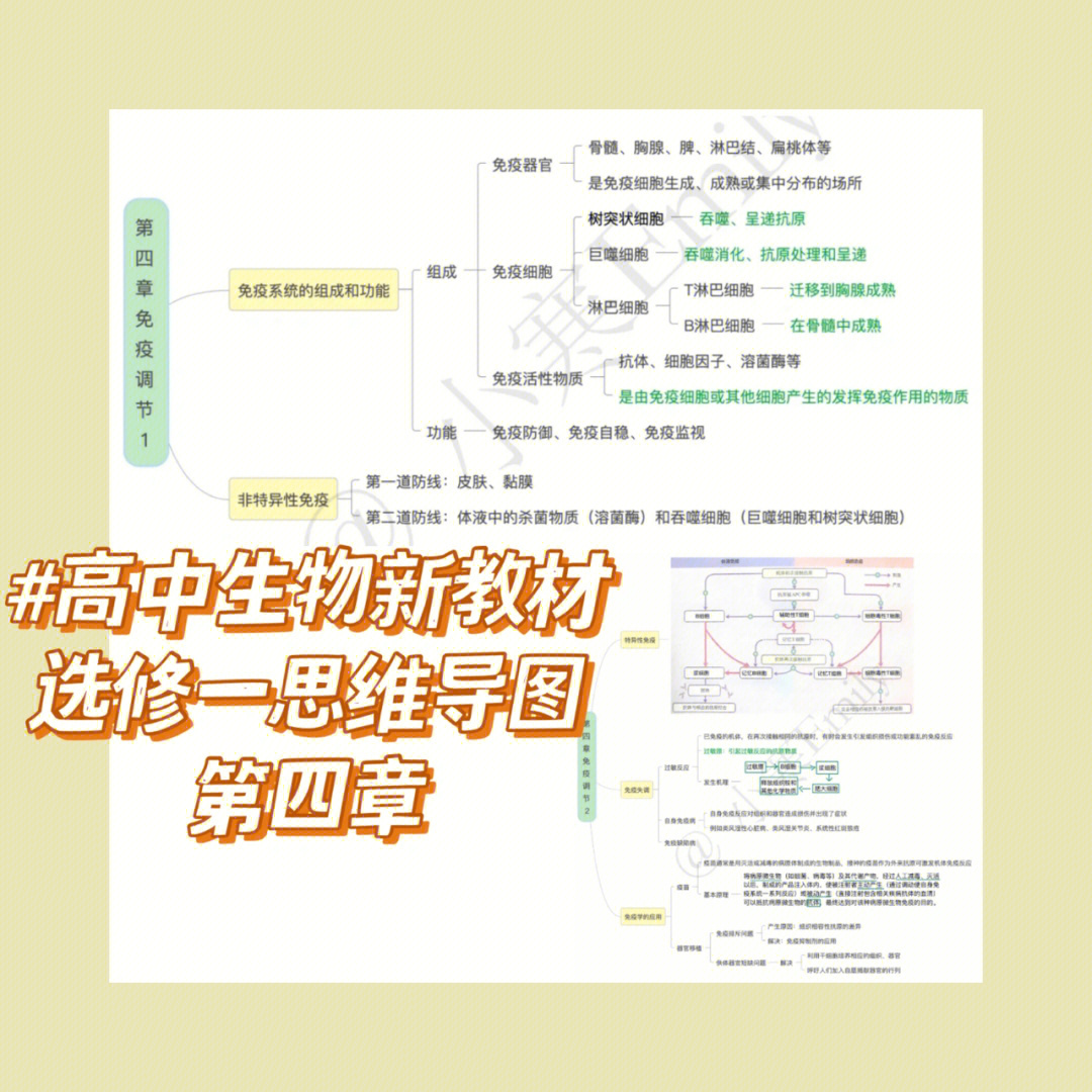 生物选修一概念图图片