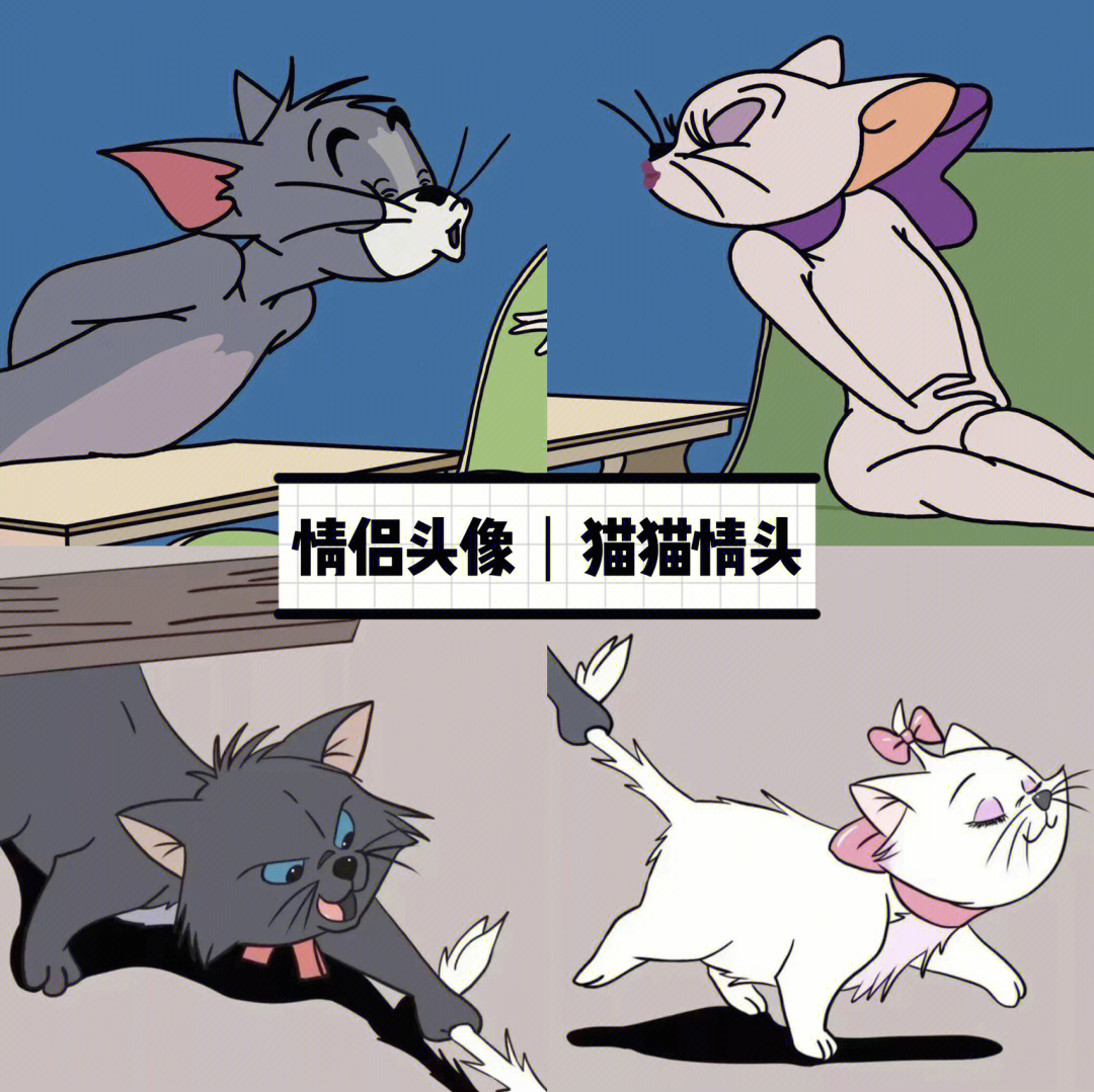 猫和老鼠里白猫品种图片