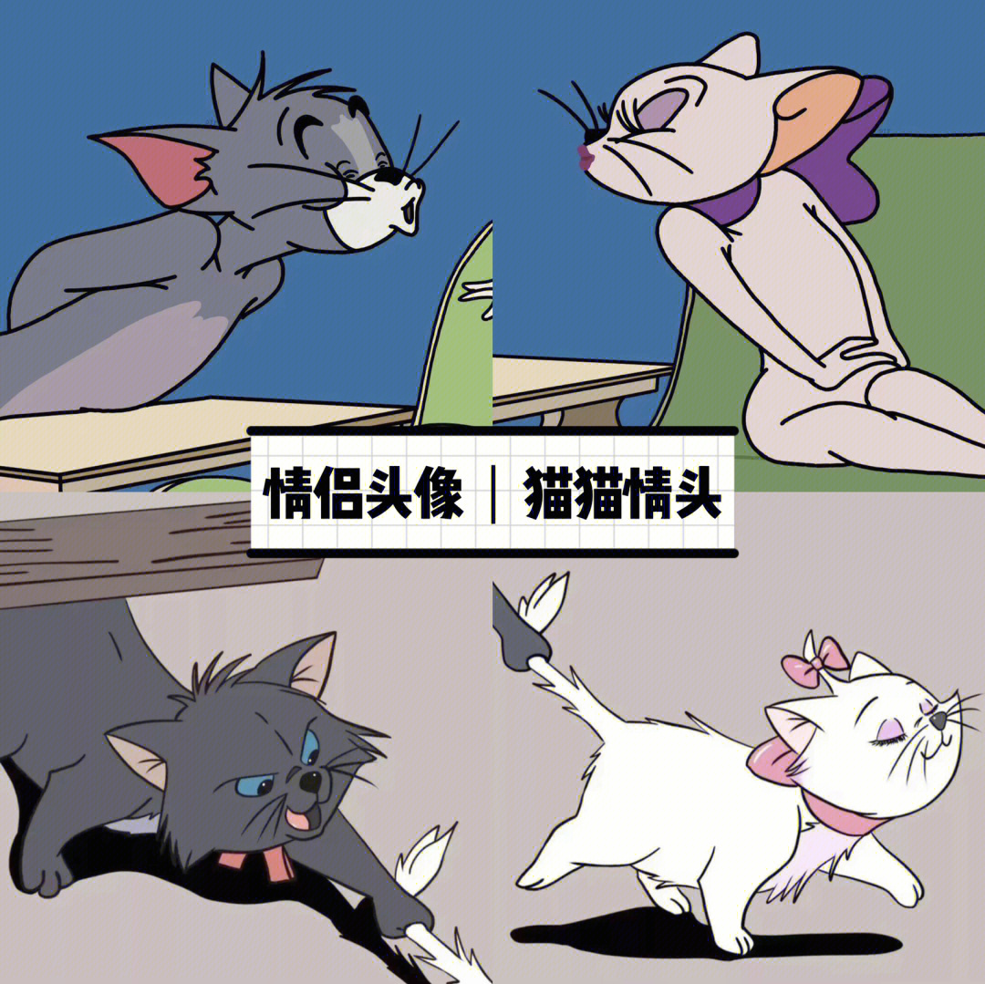 猫和老鼠中沙滩入白猫图片