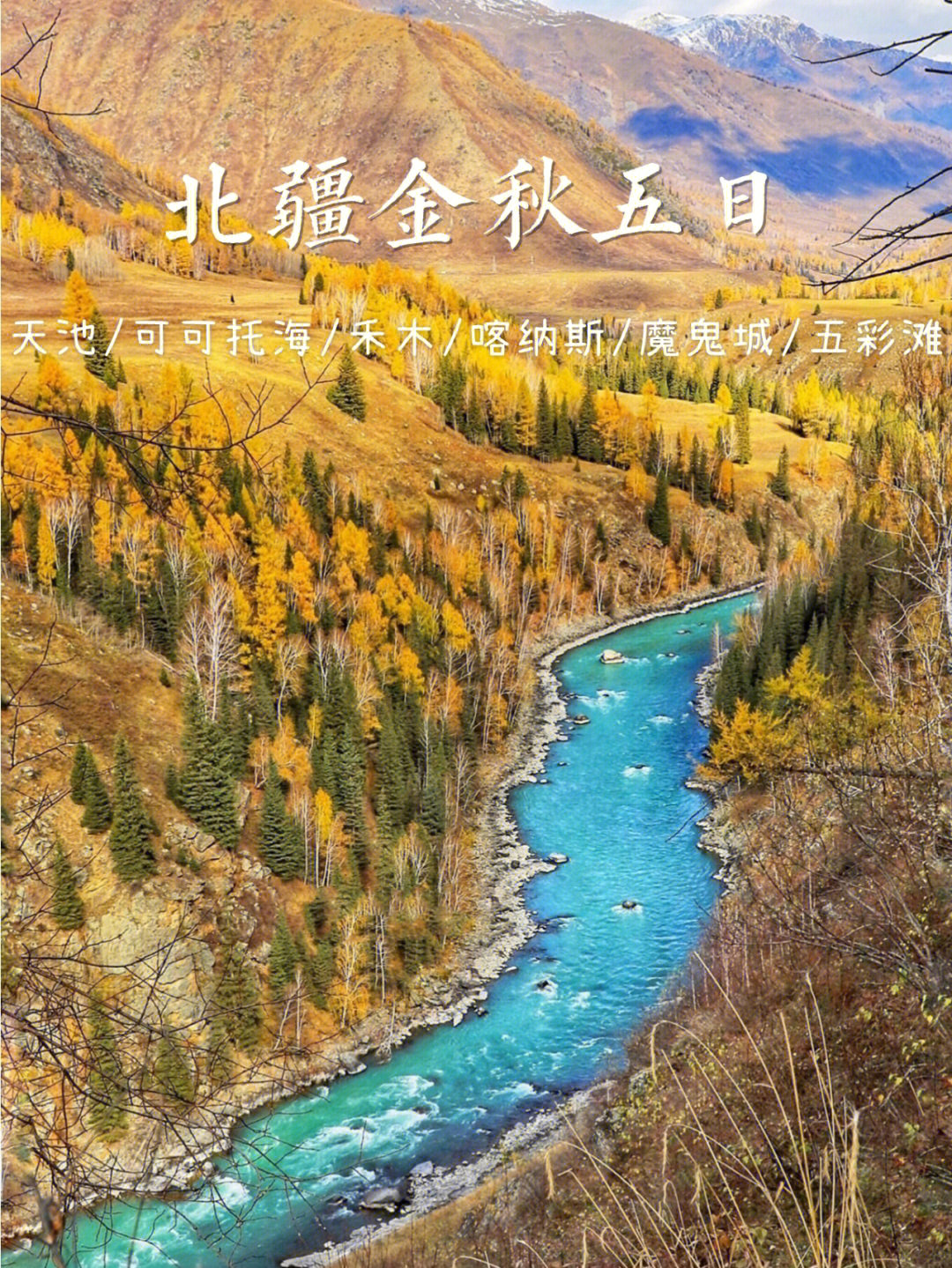 新疆胡杨林旅游攻略图片