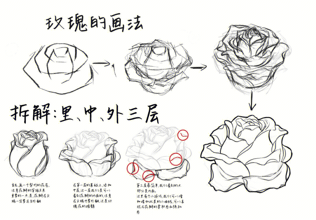 玫瑰花画法简单入门图片
