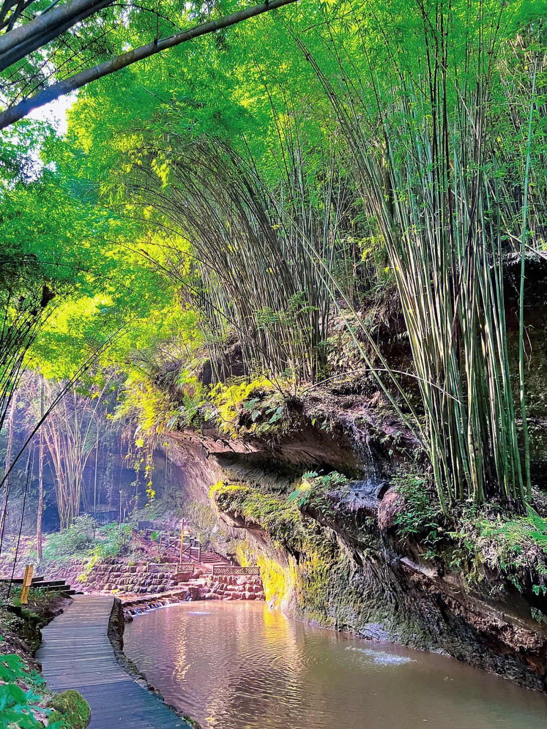 邛崃川西竹海景区电话图片