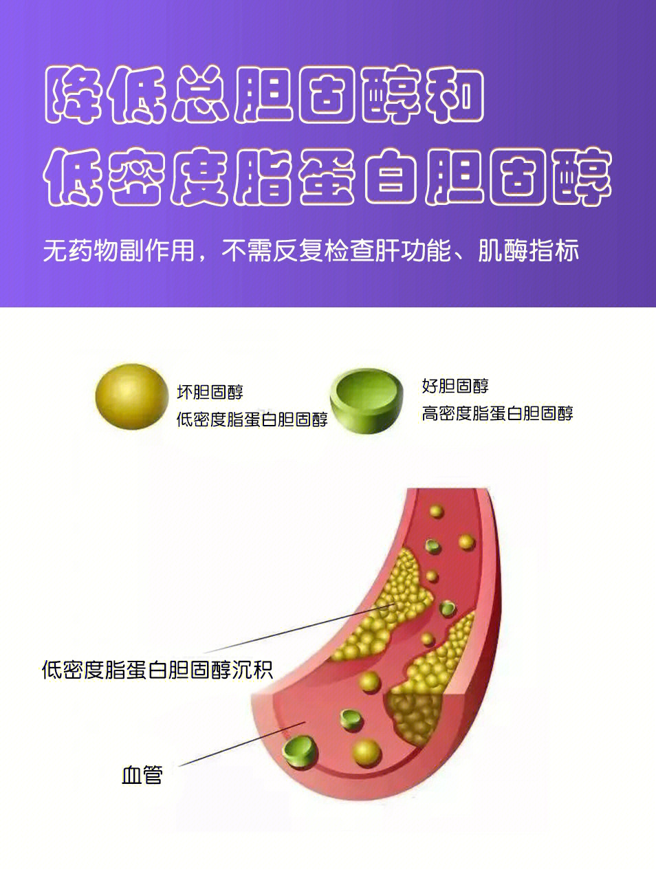 低密度脂蛋白偏高图片