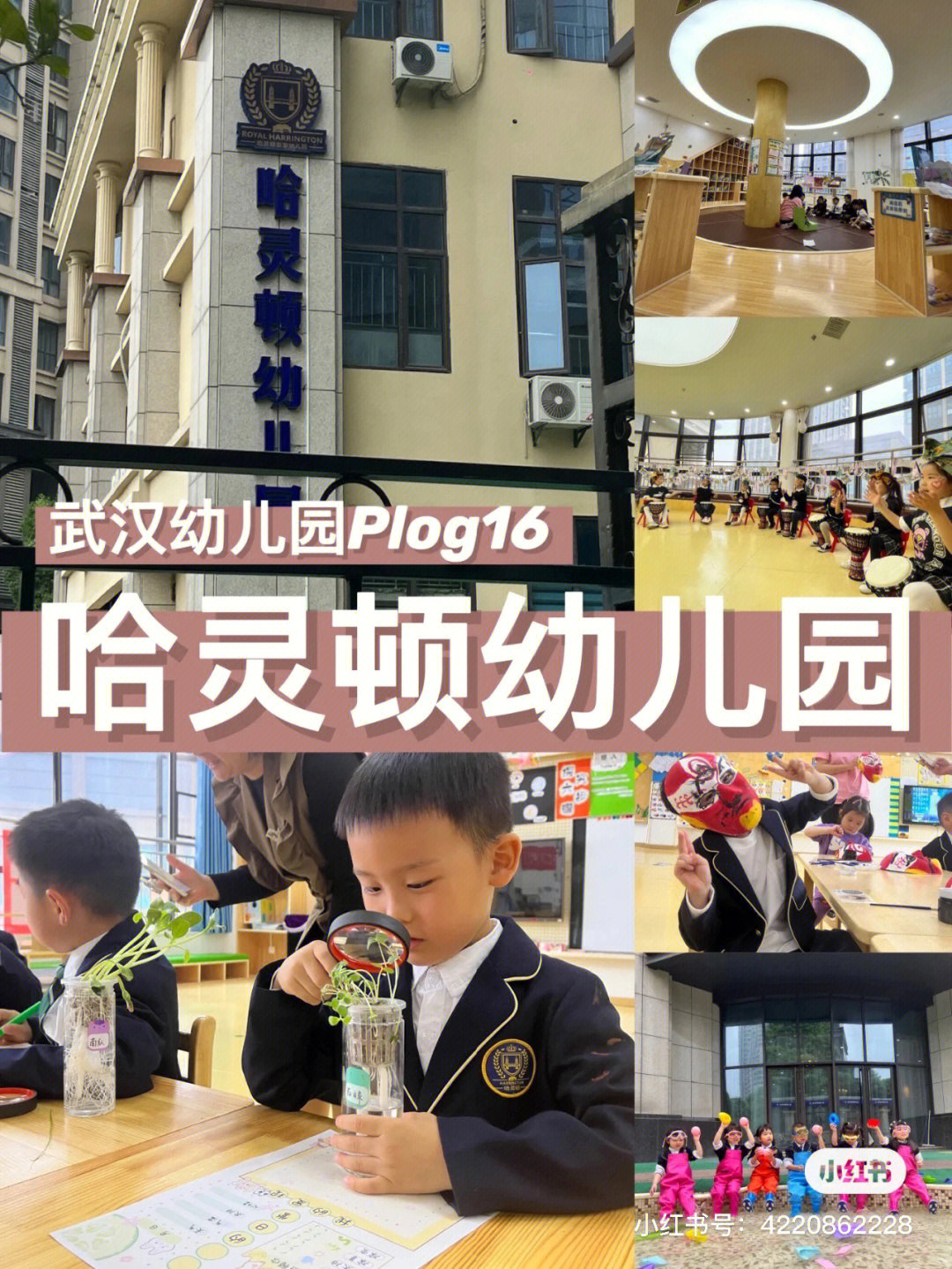 武汉哈灵顿幼儿园学费图片