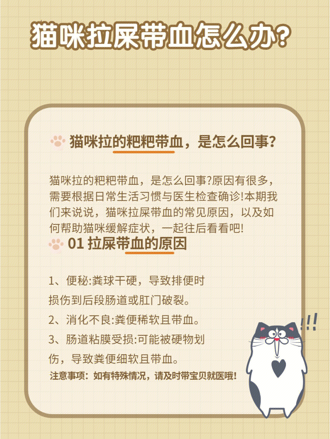 04猫咪拉屎带血怎么办?猫咪拉的粑粑带血,是怎么回事?