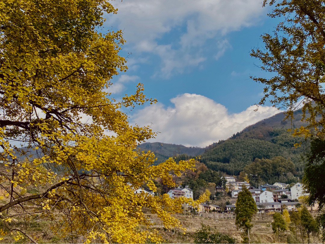 临安指南村秋