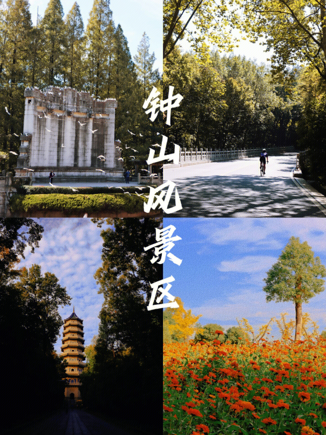 南京一日游音乐台陵园路灵谷寺体育公园