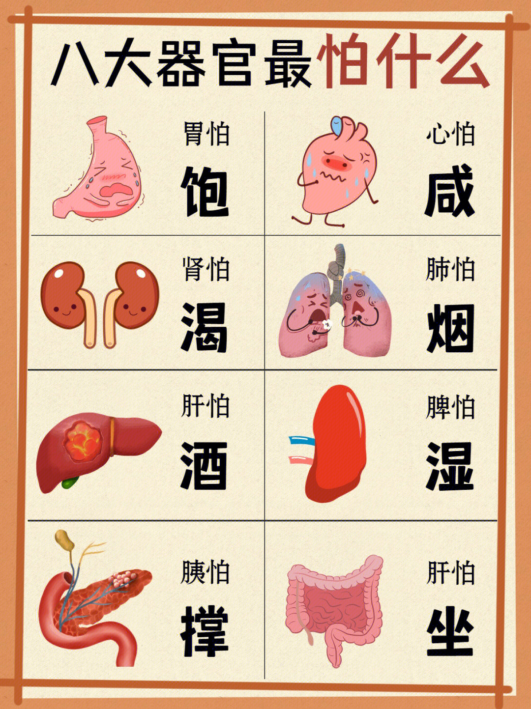 五脏指什么图片