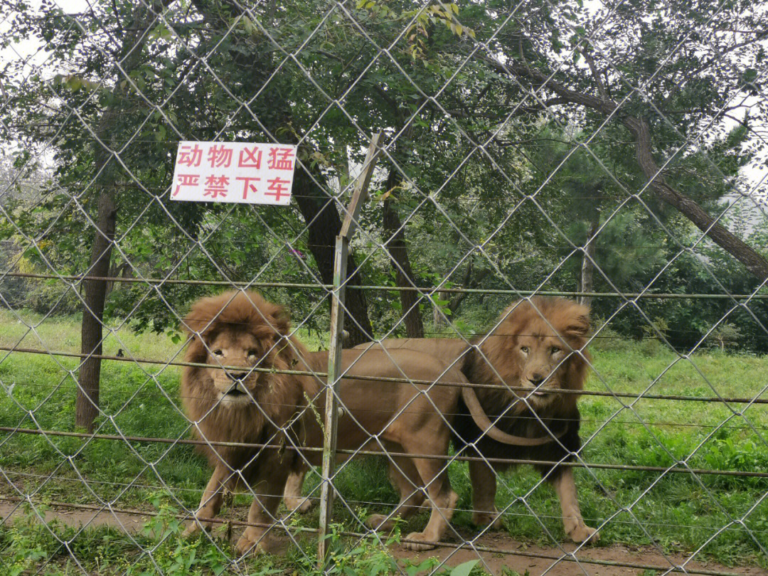 宜宾野生动物园电话图片