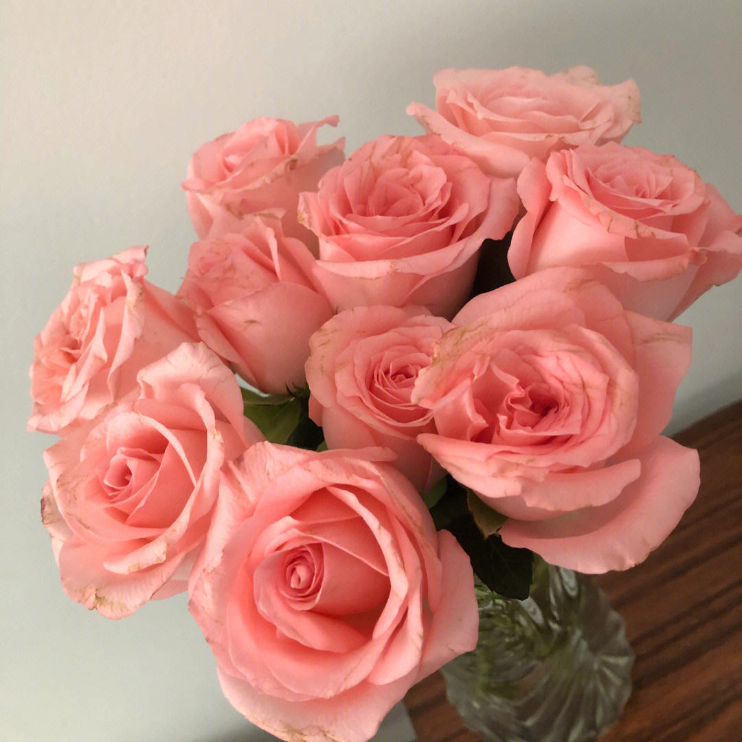 粉色玫瑰有着喜欢你灿烂的笑容和爱心与特别的关怀
