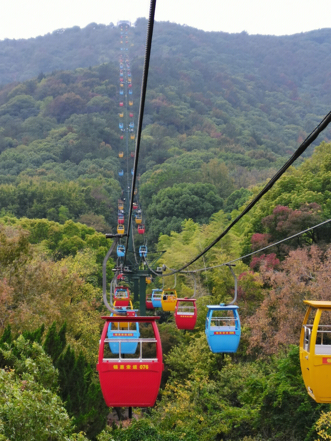 锡惠公园景点介绍图片