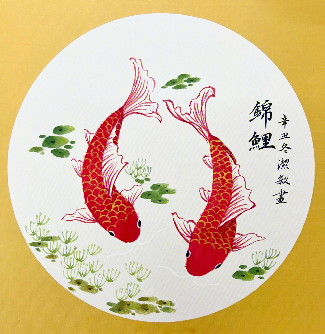 国画锦鲤红鲤鱼教程鱼的画法