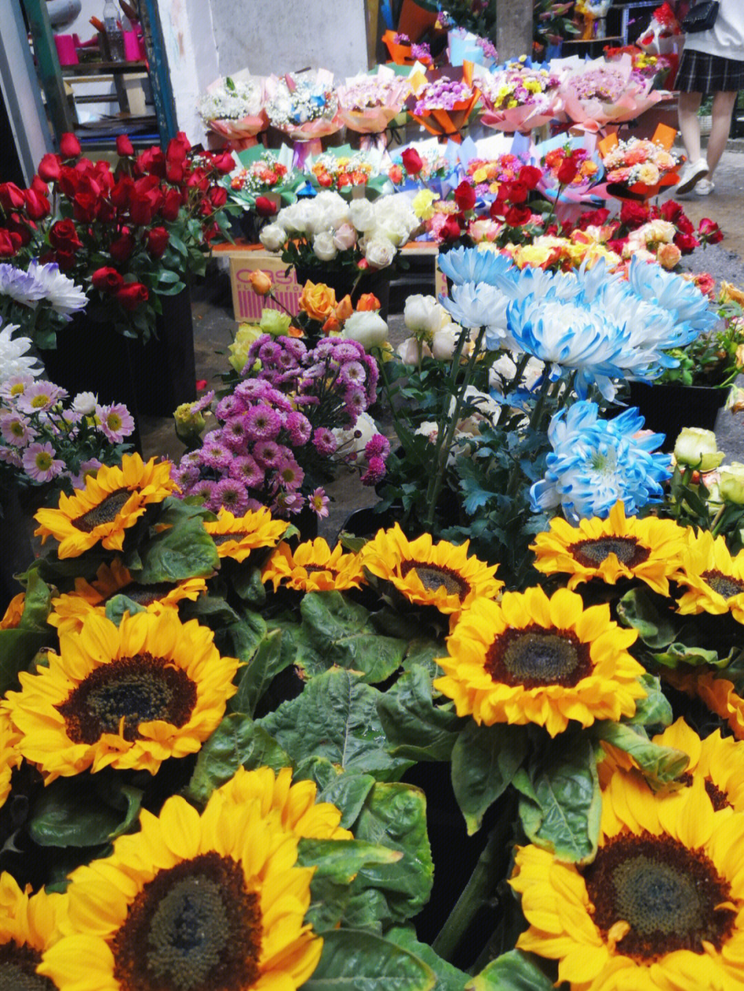 郫县最大的花卉市场图片