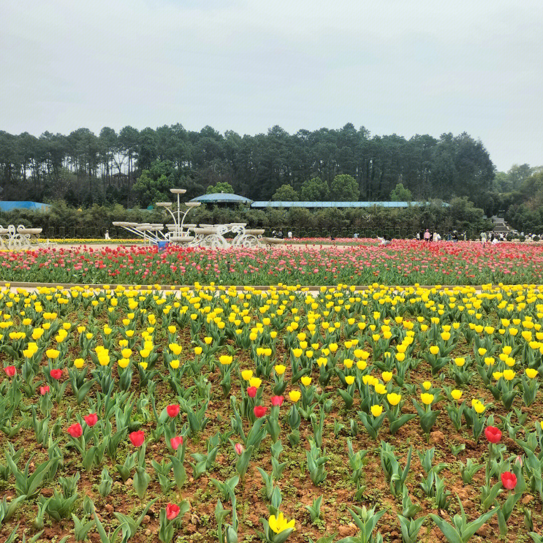 湖南省植物园地理位置图片