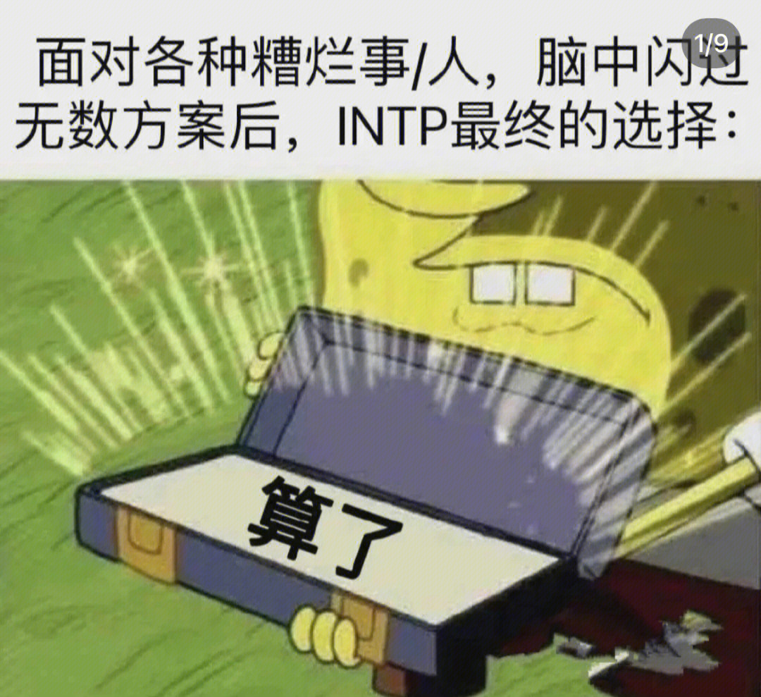 intpmemes图片