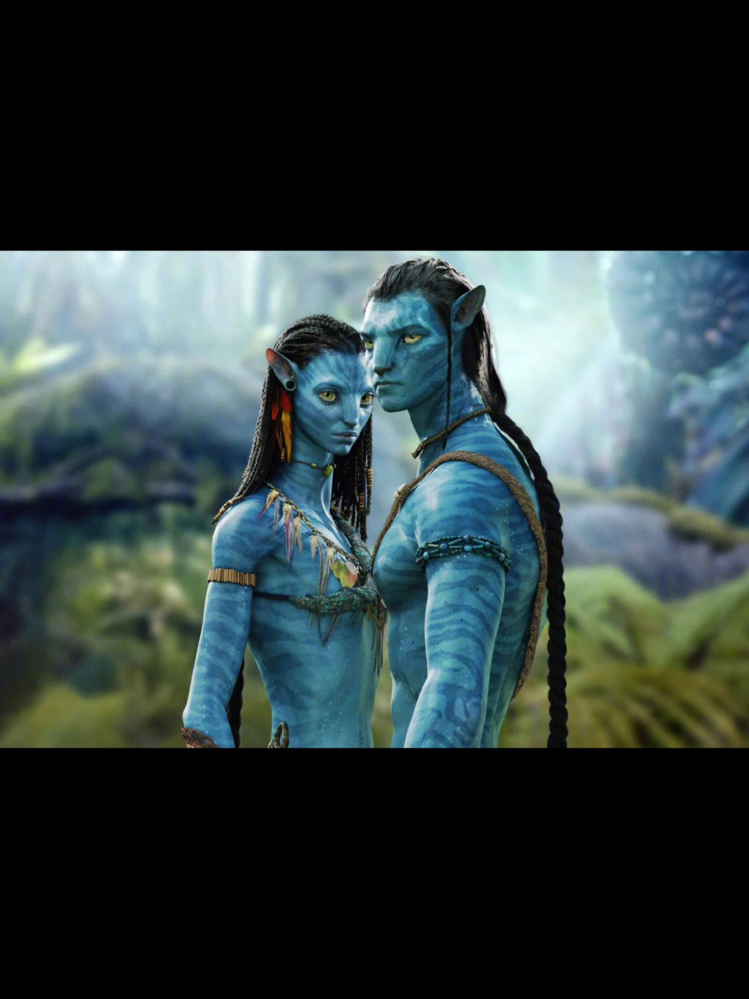 Avatar movie Chinese download_Movie Avatar download Baidu Netdisk_Movie Avatar download