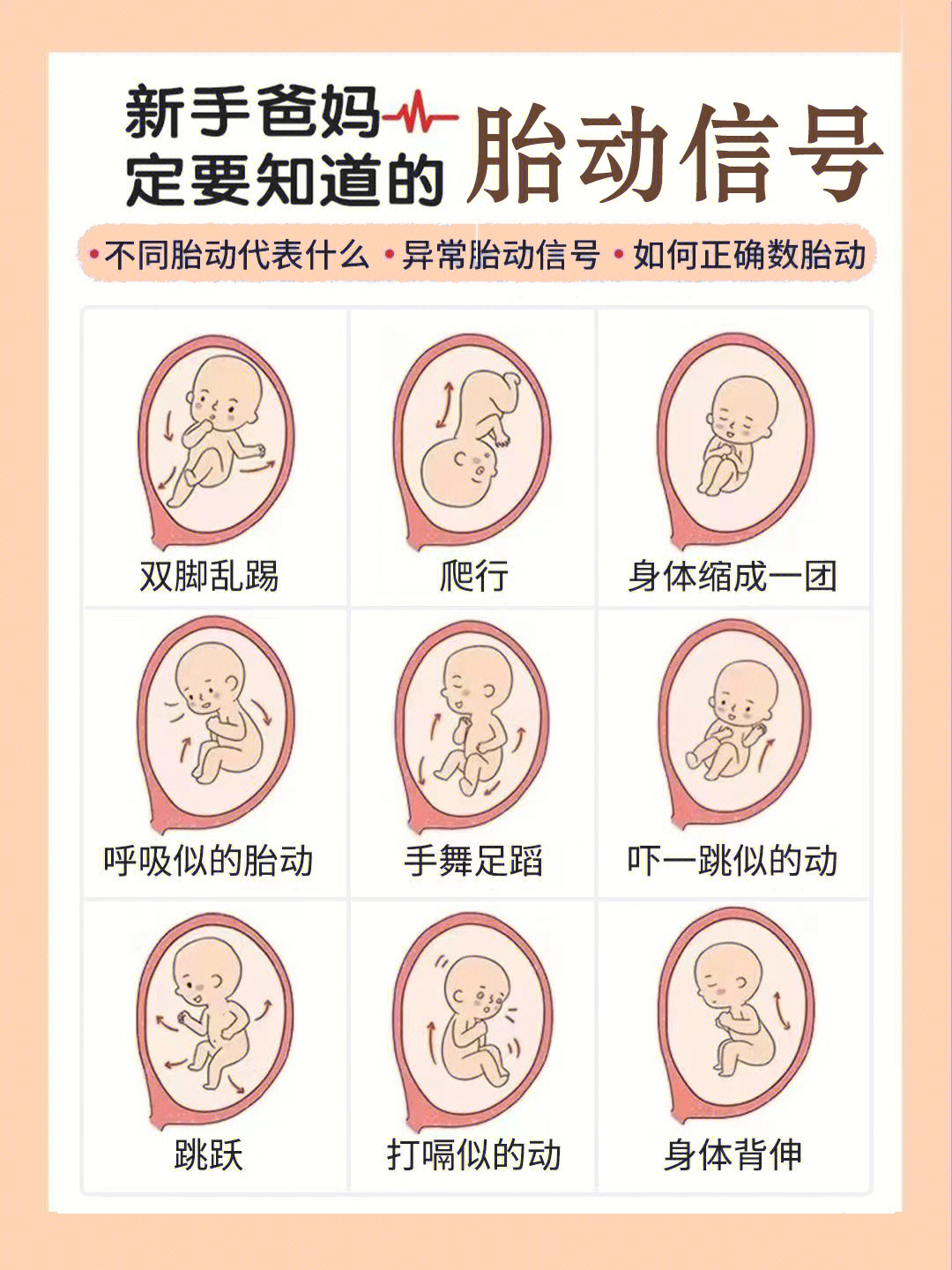 22周胎动位置示意图图片