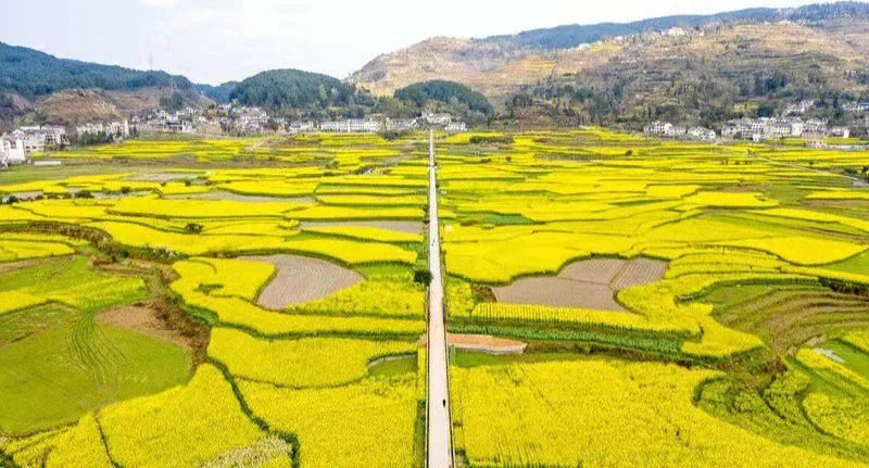 开阳十里画廊图片