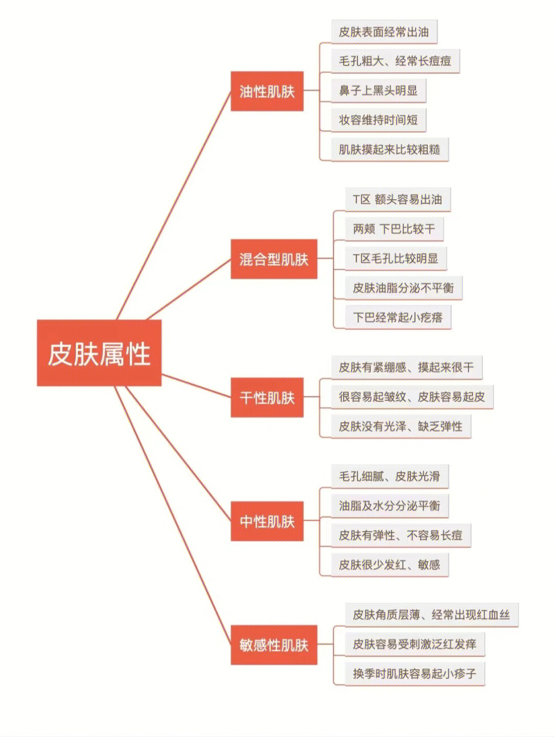 皮肤肤质分类图片