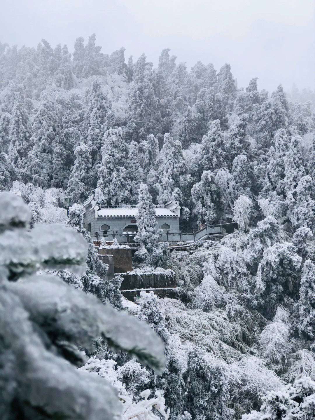 南岳衡山雾凇图片图片