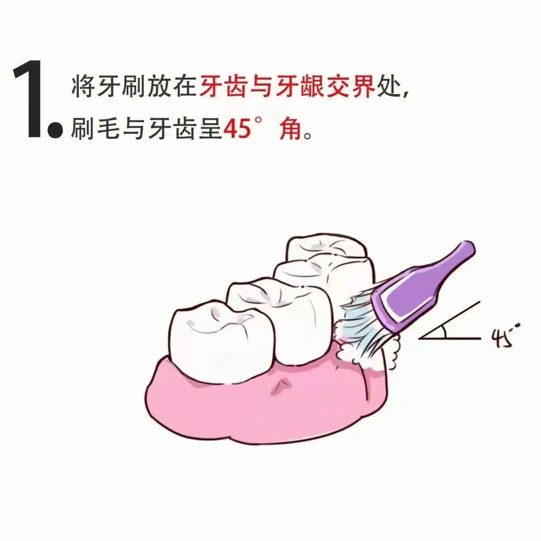 巴氏刷牙法图片 图示图片