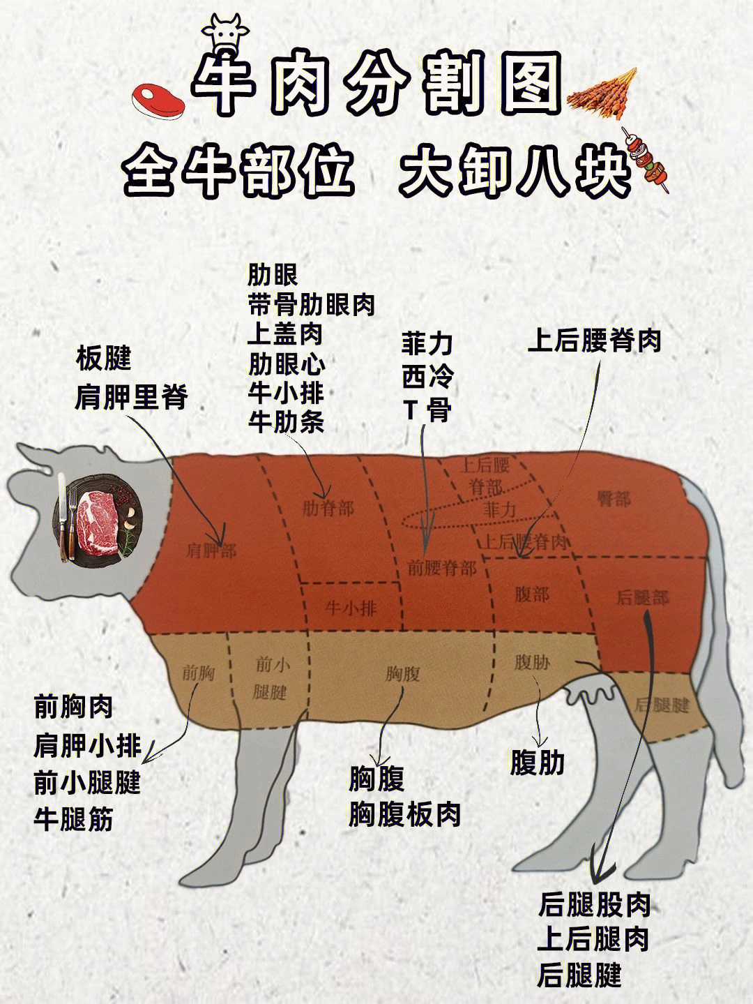 牛身体部位分布图图片