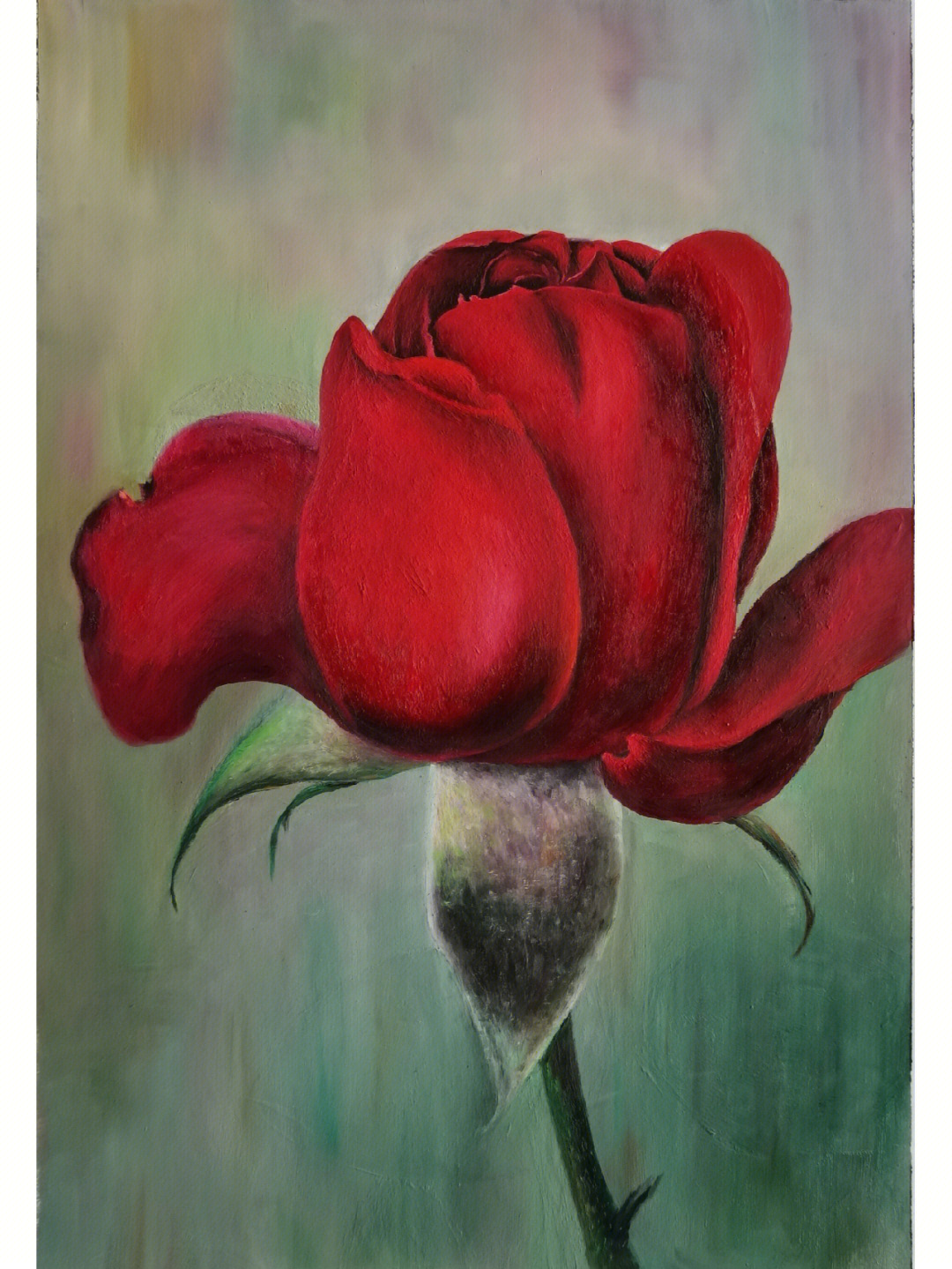 油画一支玫瑰花图片