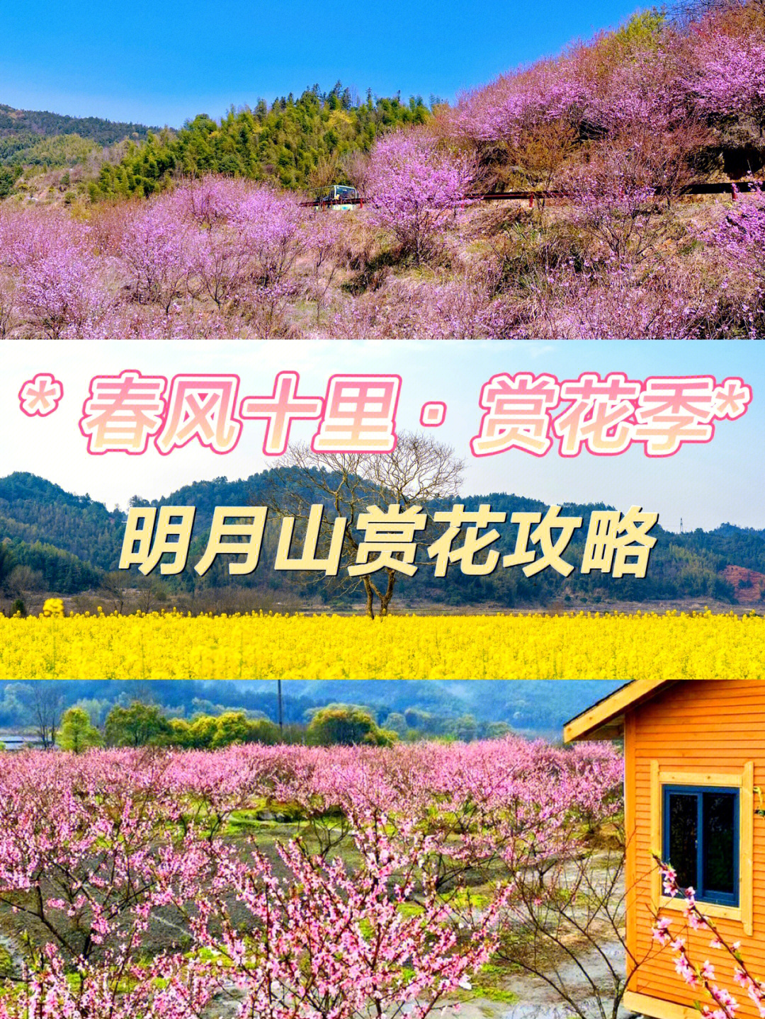 明月山花海原居图片