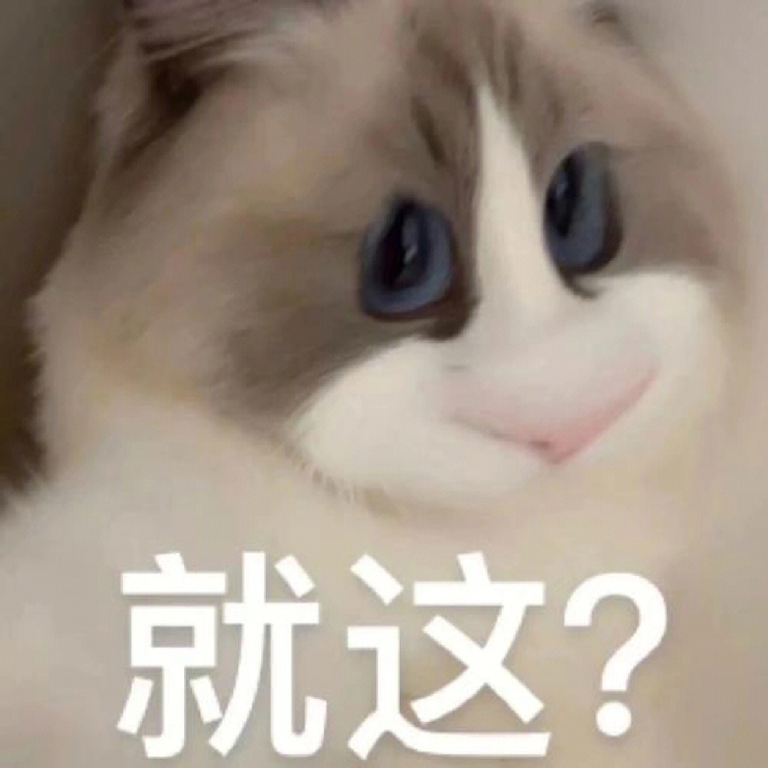 拜托,有这只猫当表情包超炫的好不好#猫咪表情包