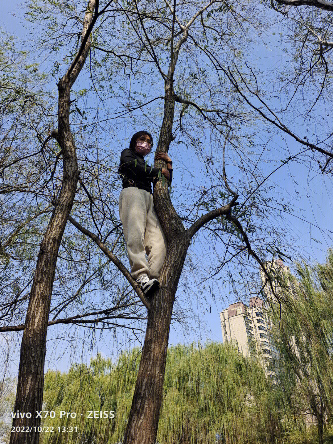爬树