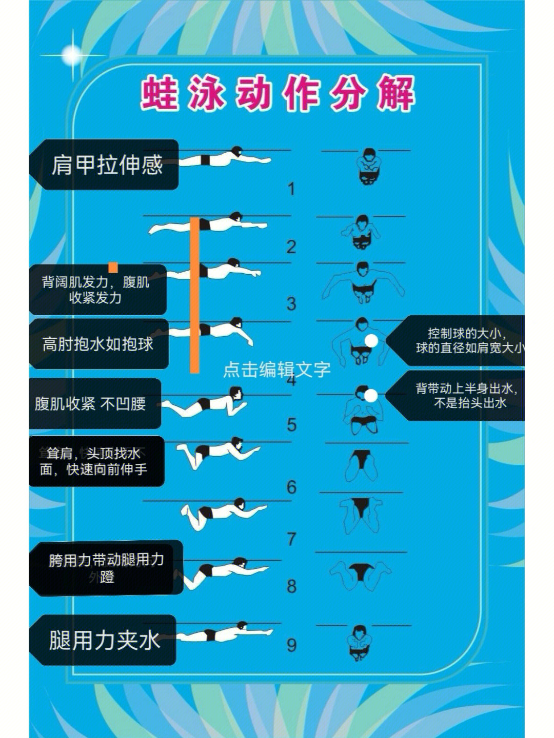 蛙泳手势分解动作图片