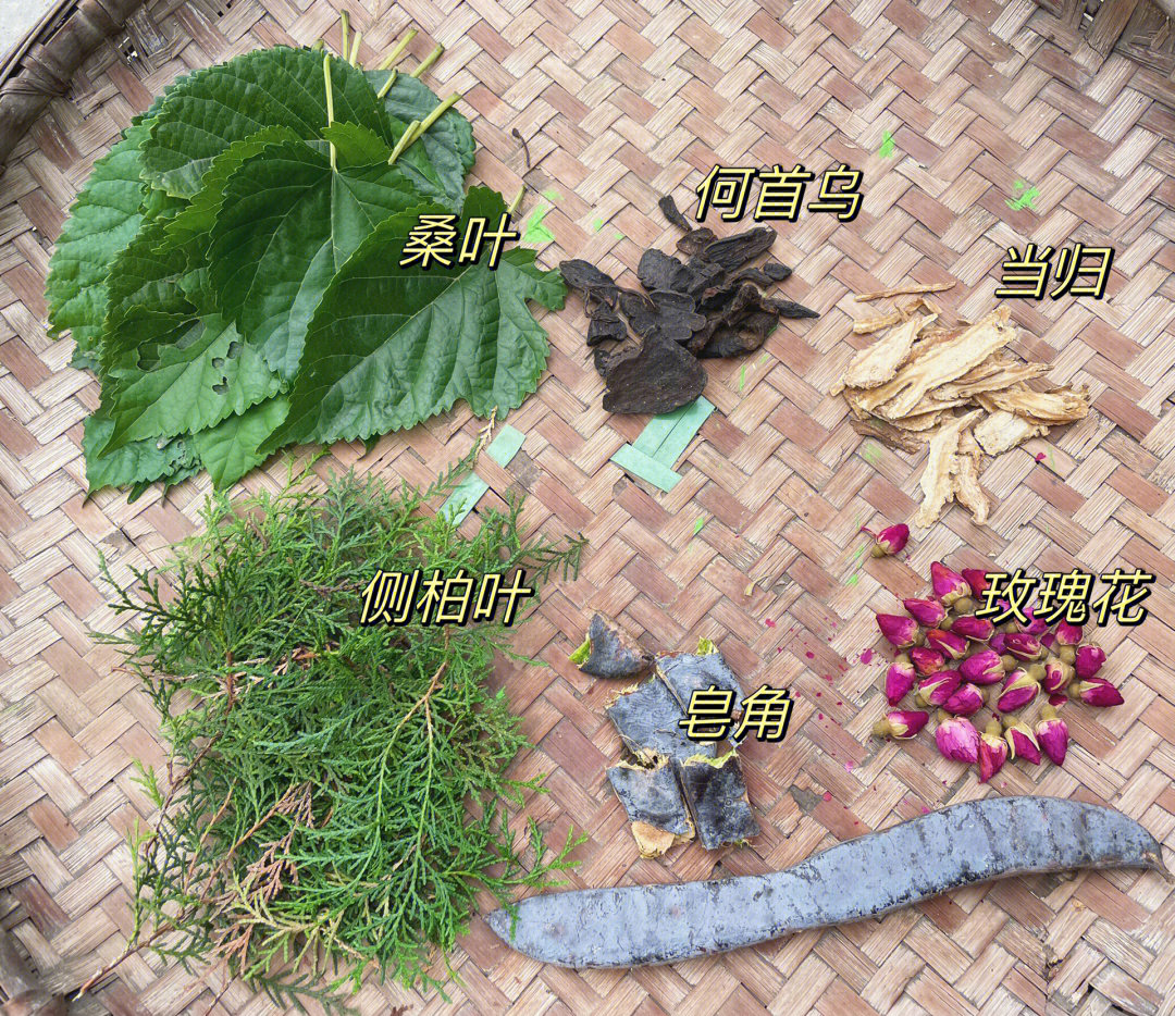 自制皂角侧柏叶何首乌洗头水