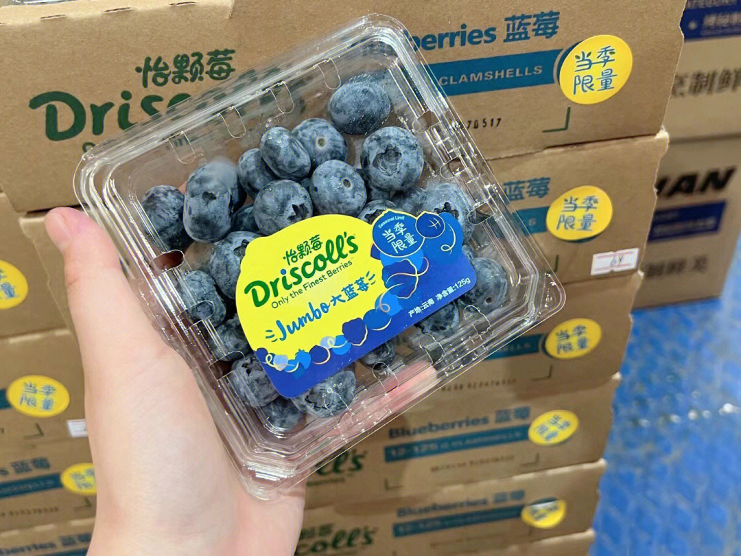 怡颗莓蓝莓08高品质上线