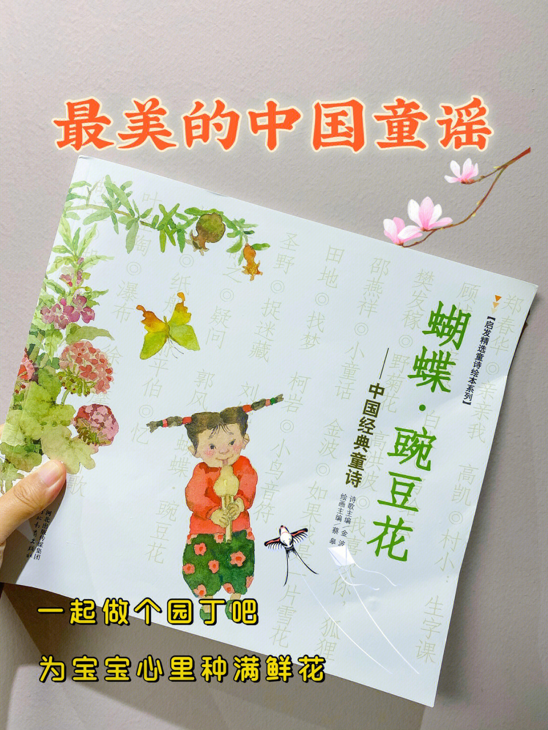 中文之美在于感受蝴蝶豌豆花绘本