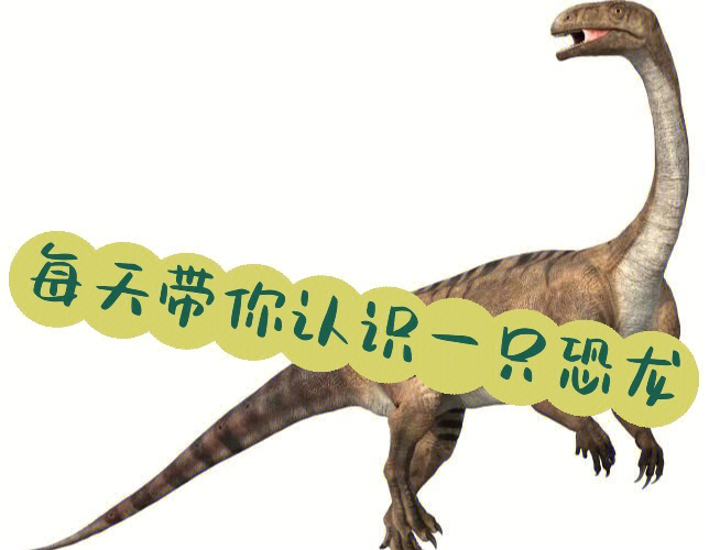 素食恐龙的本领图片