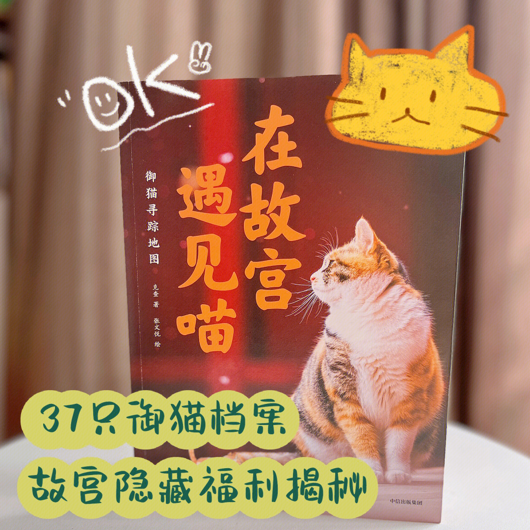 故宫隐藏福利大揭秘御猫指南