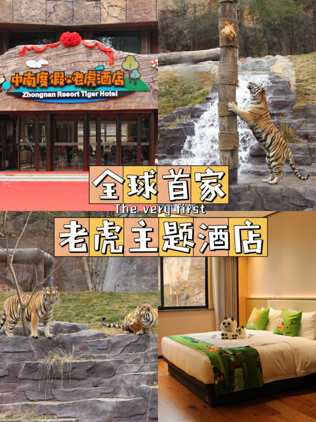 全球十大动物主题酒店图片