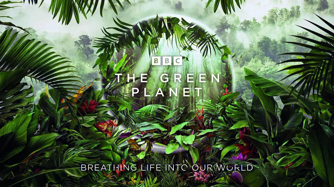 完美星球bbc绿色星球图片