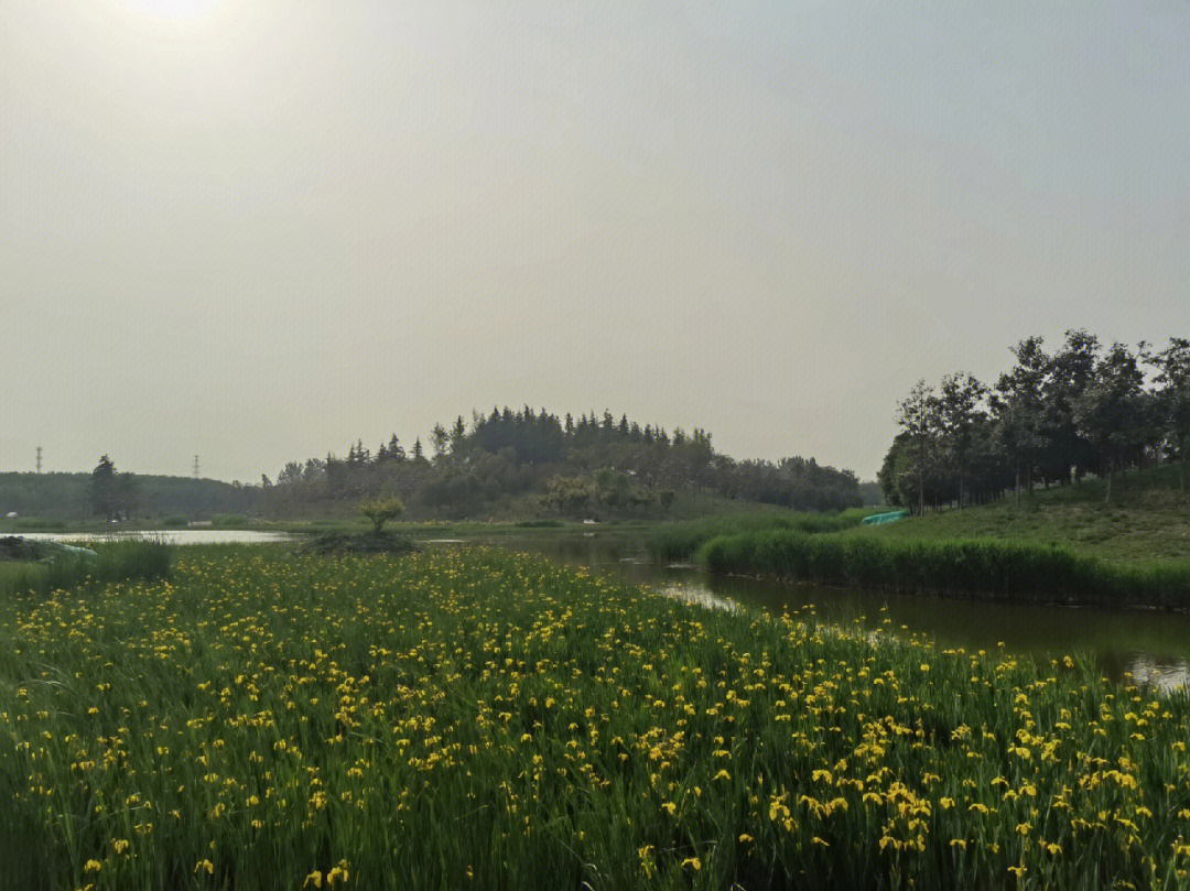 西安华为三期鹤鸣湖图片