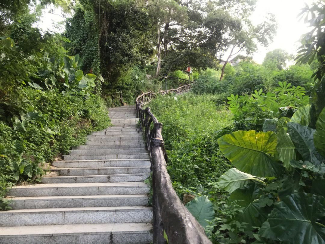 潮南峡山塔山介绍图片