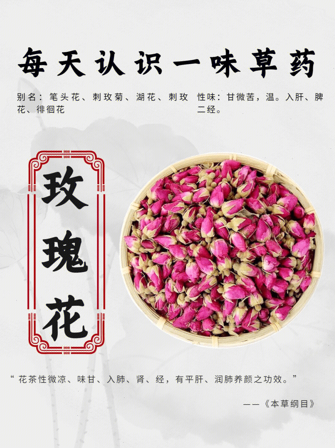 玫瑰花的药用价值图片