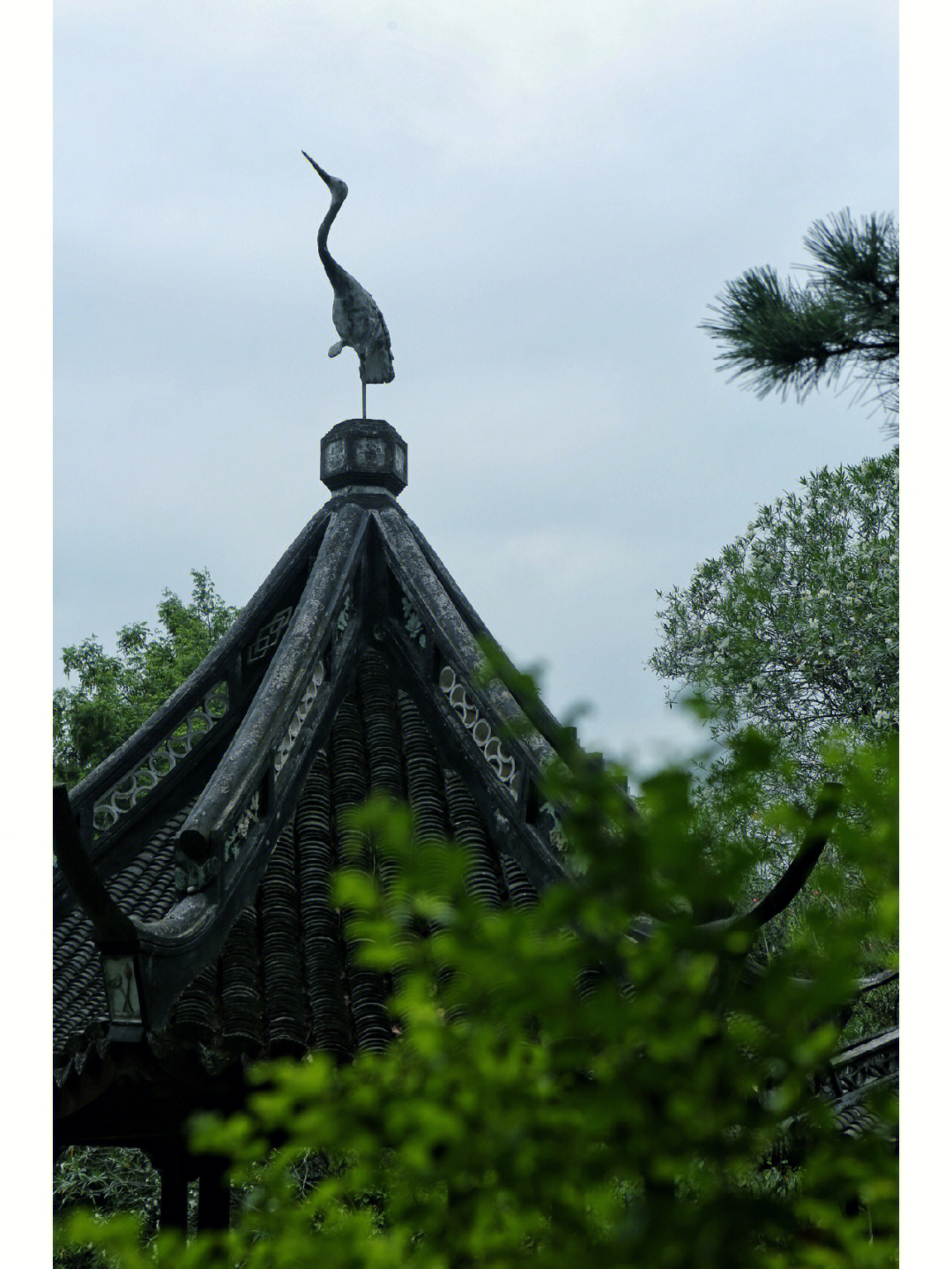 夏日泽雨