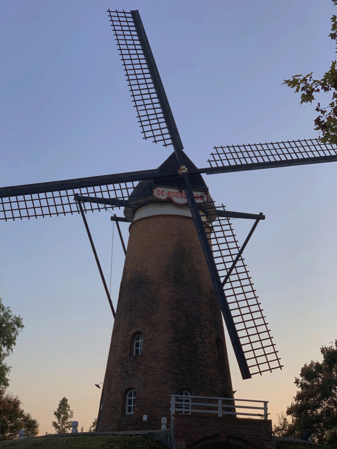 绿博园荷兰风车