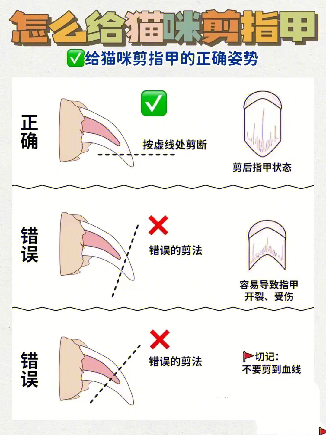 猫剪指甲刀怎么用图解图片