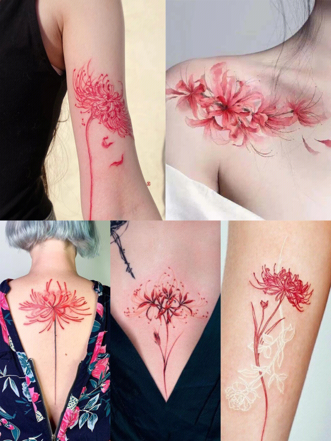 彼岸花纹身合集女生纹身非ban必选tattoo