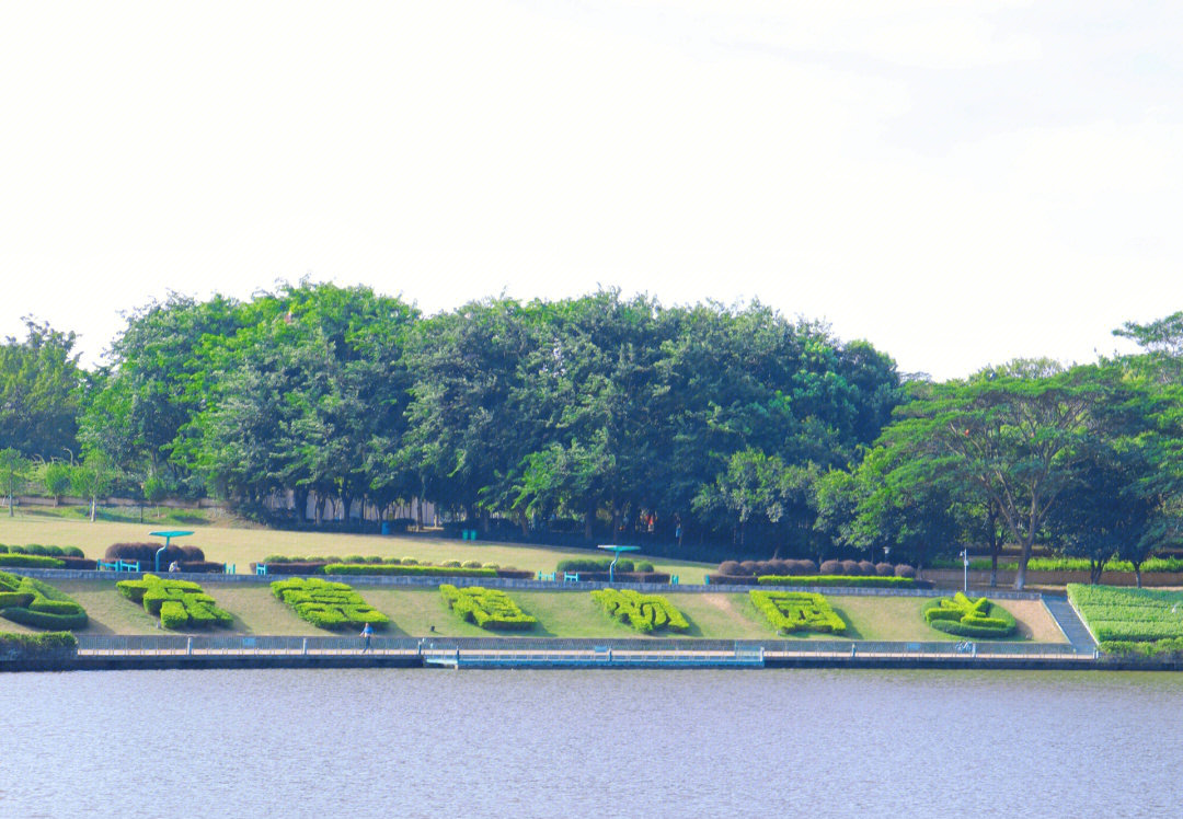 东莞植物园实景地图图片